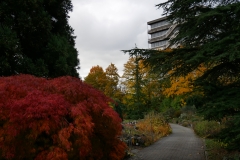 P1000278