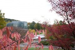P1000288