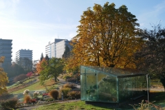 P1000327