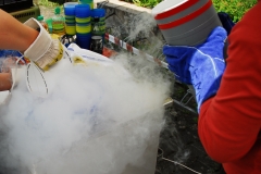 Sommerfest-14