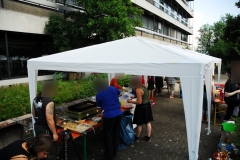 Sommerfest-17