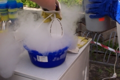 Sommerfest-2